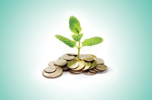Sprout coming out of money